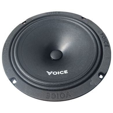 Естрадна акустика Voice ST-165