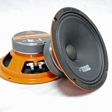 Естрадна акустика Street Sound ORANGE80